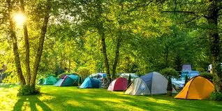 MSR Hubba Hubba NX 2-Person Tent