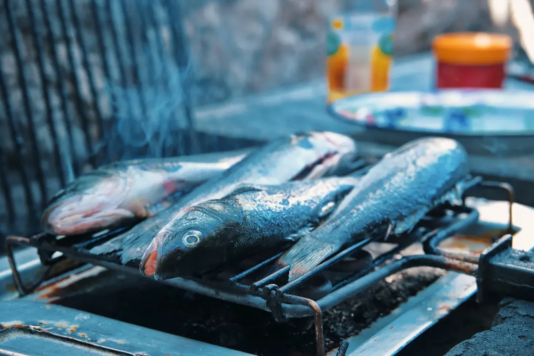 Is There a Practical Way to Fry Fish or Meatballs Without Smell and Oil in the Caravan?