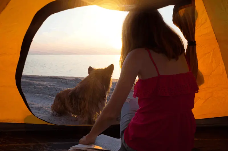 Hur Förvarar Man Mat För Att Skydda Sig Mot Månar Eller Vilda Djur Under Camping?
