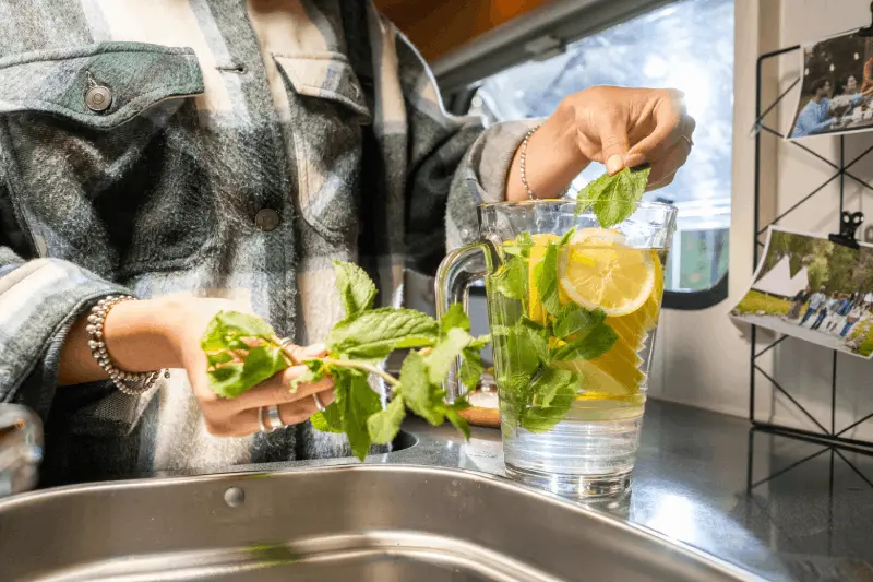 Recept för Detoxvatten med Färska Örter från Naturen