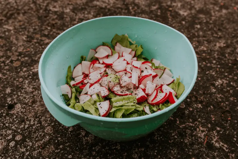 Proteinrika Sallader för Vegetariska Campare