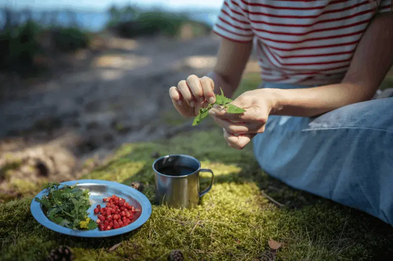 Vad är reglerna för att campa utan att lämna spår i naturen?
