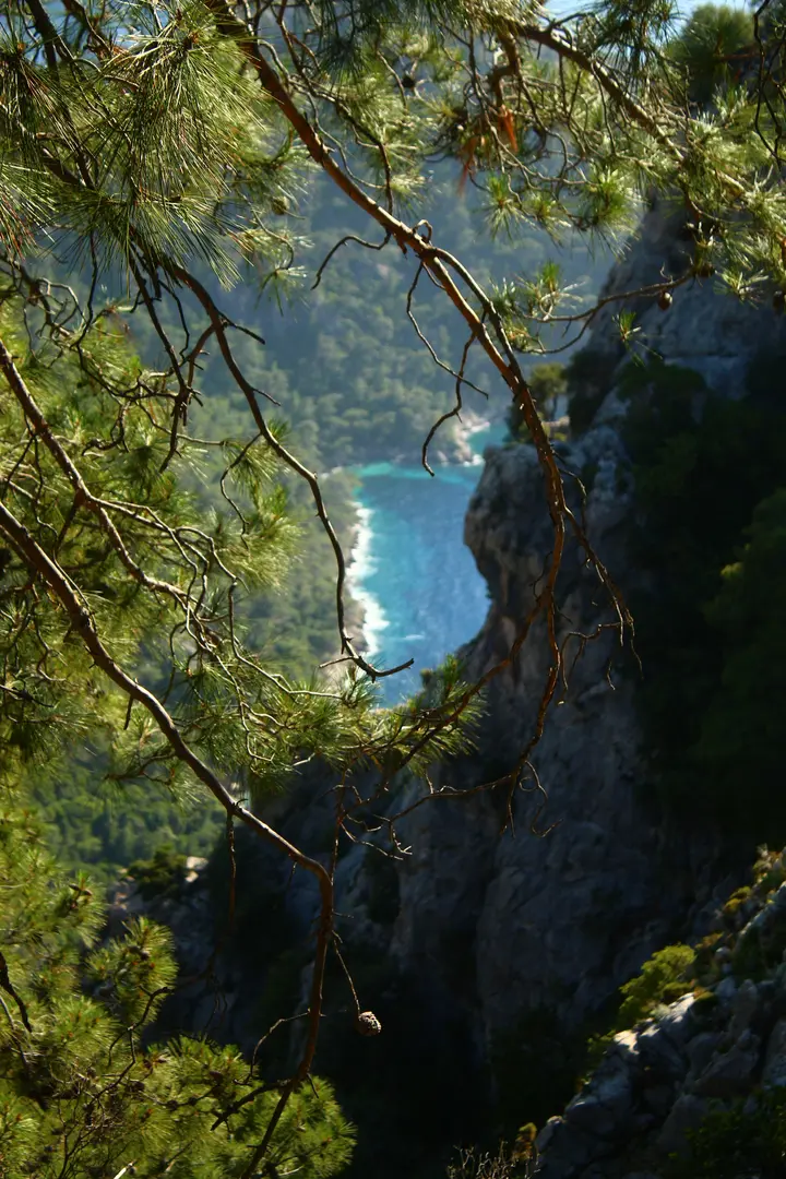 Licia Vägens Husvagns- och Campingguide: En Bekväm Rutt Mellan Kaş och Fethiye (5-10 km Lätta Vandringar)