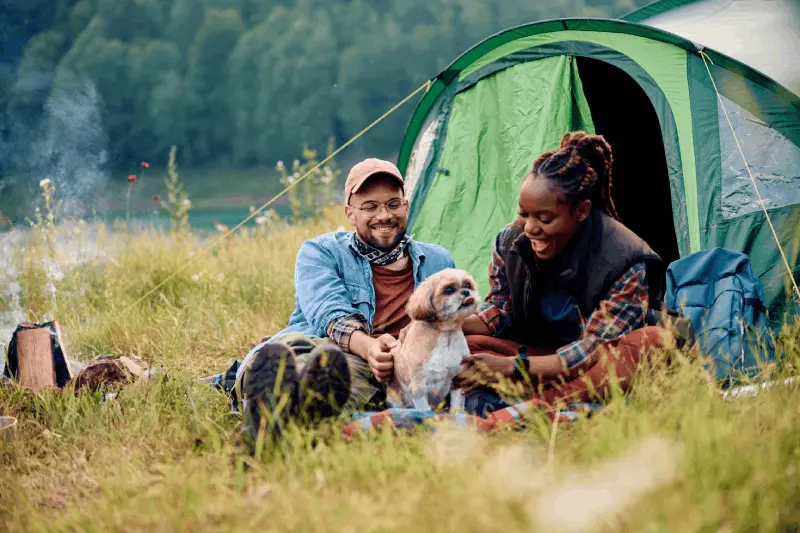 Var ligger de mest hundvänliga campingplatserna för hundägare?