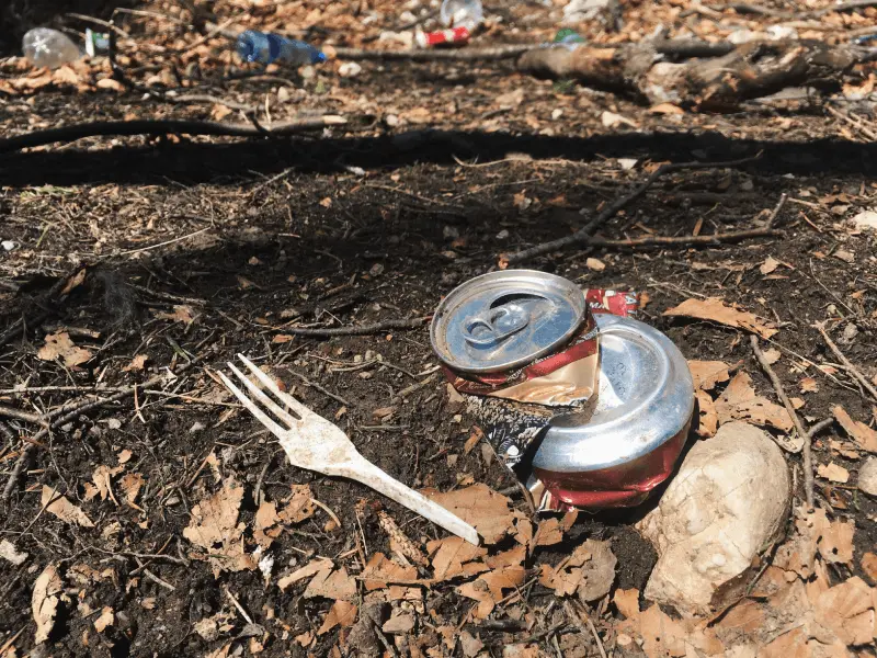 Hur kan olivoljekonserver förbättras vid camping?
