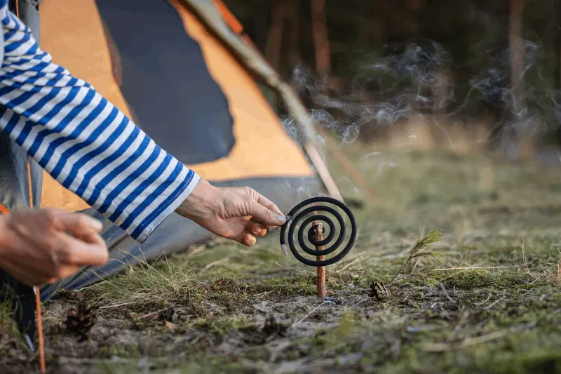 Vilka Naturliga Metoder Håller Myggor och Insekter Borta Från Campingplatsen?