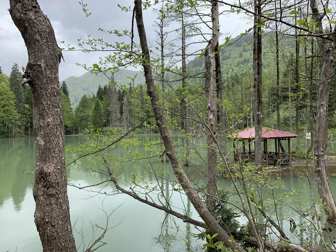 Borçka Karagöl Camping Area — Artvin — küçük resim 3