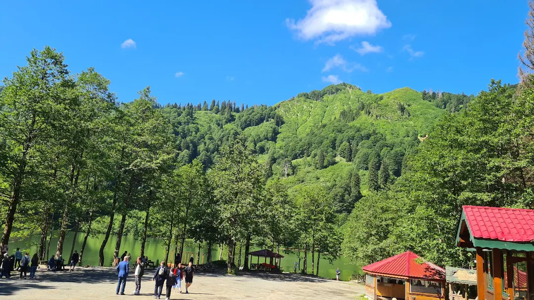 Borçka Karagöl Camping Area — Artvin — küçük resim 8
