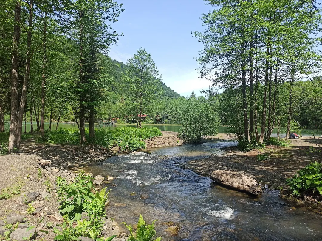 Borçka Karagöl Camping Area — Artvin — küçük resim 7