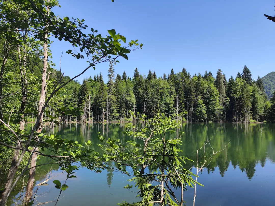 Borçka Karagöl Nature Park — Artvin — küçük resim 5