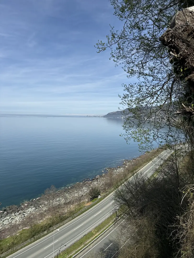 Limangela Bungalov — Artvin — küçük resim 7