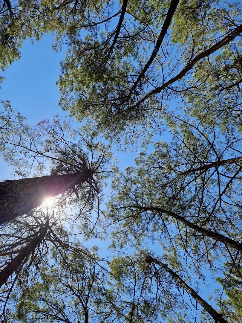 Çubucak Nature Park — Muğla — küçük resim 7