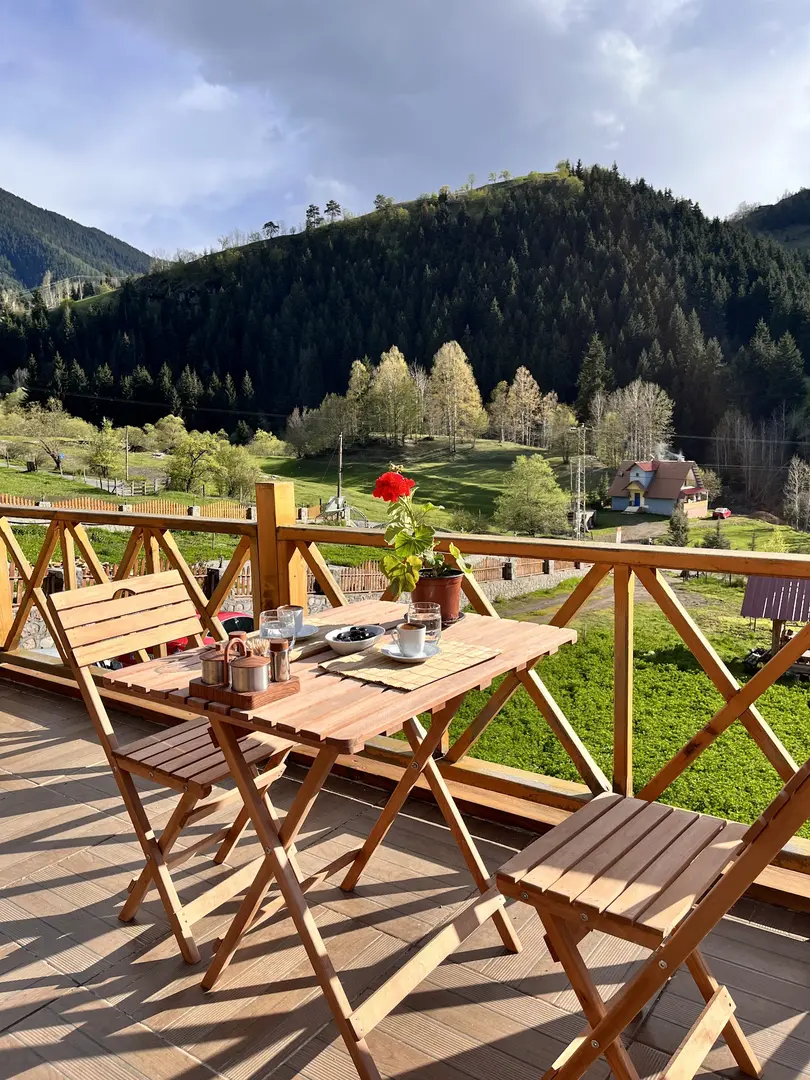 Şavşat Bungalov — Artvin — küçük resim 5