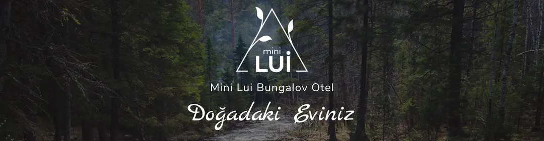 Mini Lui Bungalov Hotel — Artvin — küçük resim 4
