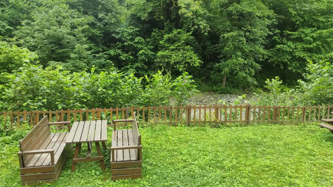 Mini Lui Bungalov Hotel — Artvin — küçük resim 9