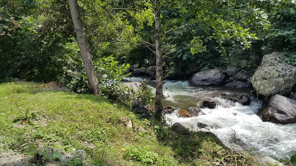 Adaş Dağ Evi & Restaurant — Artvin — küçük resim 5