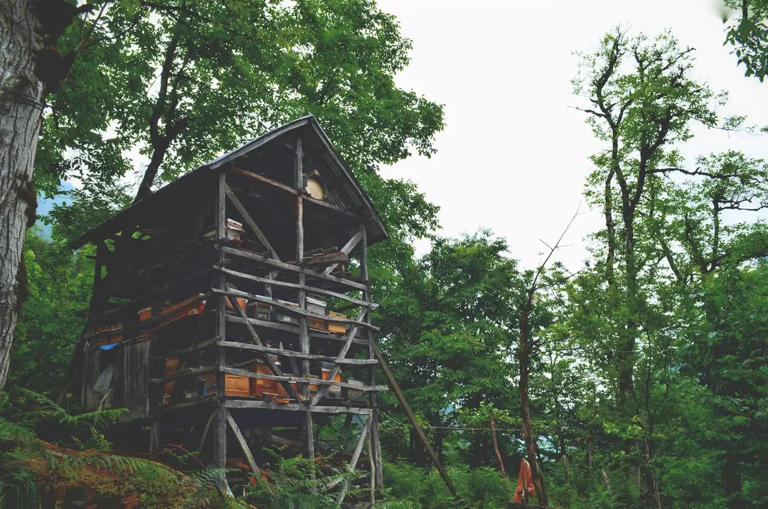 Mençuna Konakları — Artvin — küçük resim 7