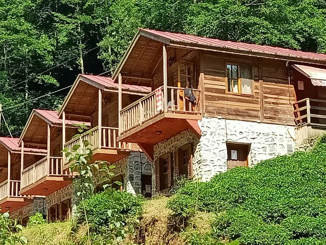 Mençuna Konakları — Artvin — küçük resim 6