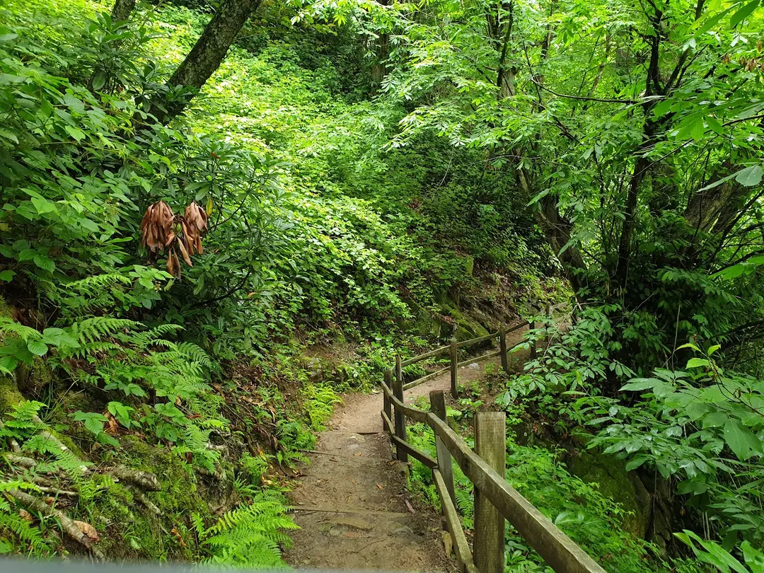 Mençuna Konakları — Artvin — küçük resim 4
