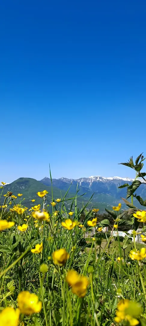 Kafkasor Plateau — Artvin — küçük resim 9