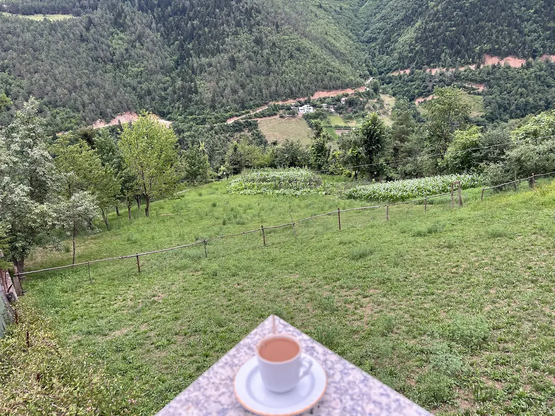 Mars Hotel Artvin — Artvin — küçük resim 3