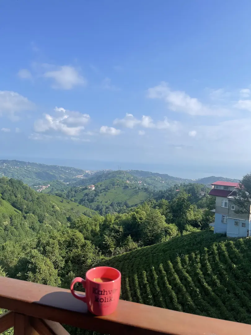 Moon House Bungalow — Rize — küçük resim 3