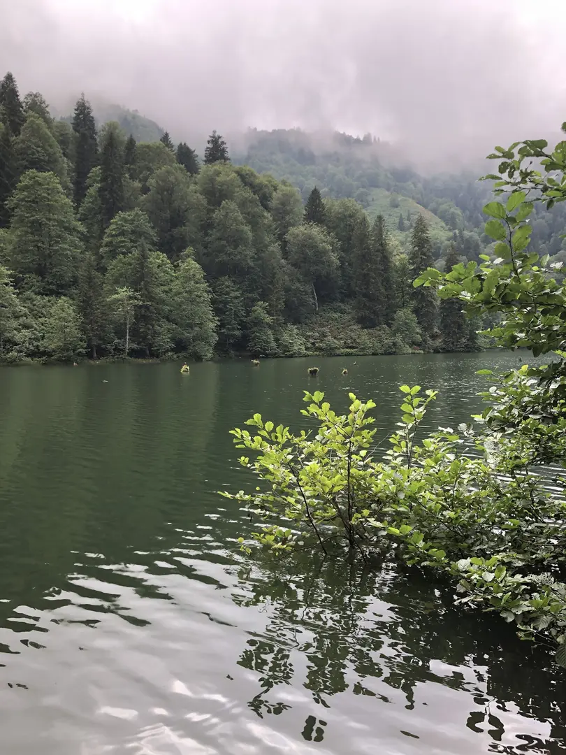 Borçka Karagöl Nature Park — Artvin — küçük resim 8