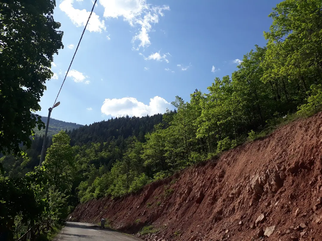 Artvin City Forest — Artvin — küçük resim 10