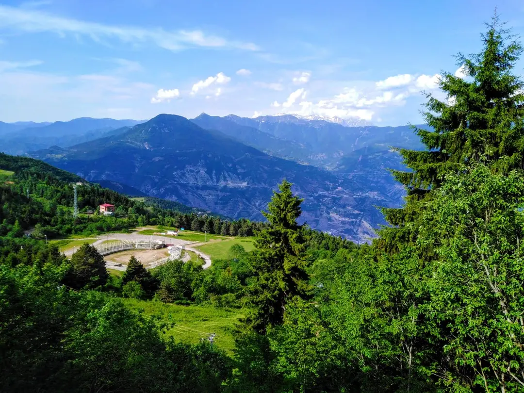 Artvin City Forest — Artvin — küçük resim 2