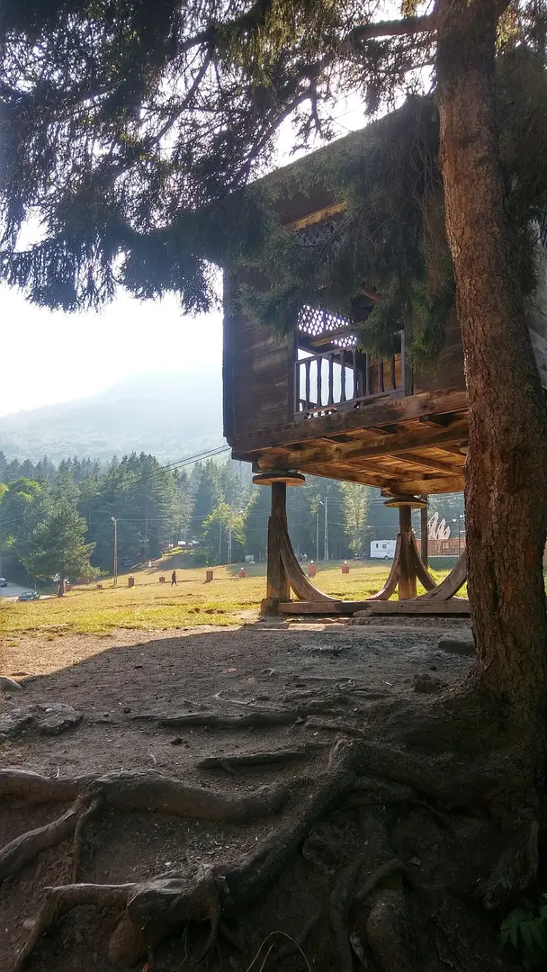 Artvin City Forest — Artvin — küçük resim 5