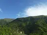 Artvin Kent Ormanı