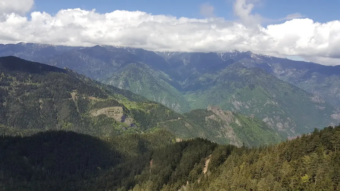 Artvin City Forest — Artvin — küçük resim 7