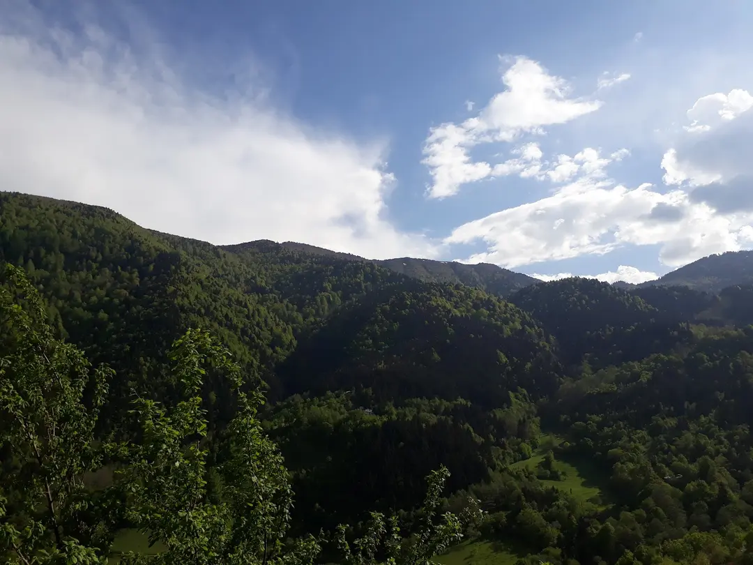 Artvin City Forest — Artvin — küçük resim 6