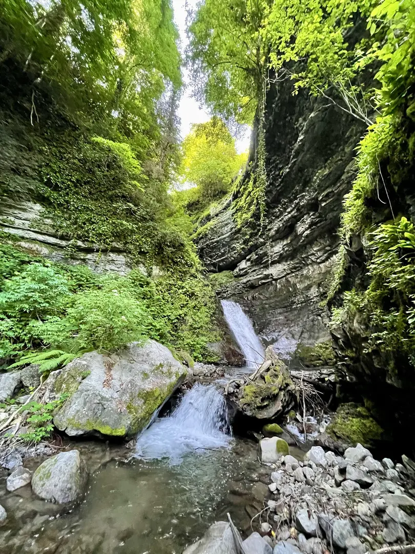 Borçka Karagöl Camping Area — Artvin — küçük resim 5