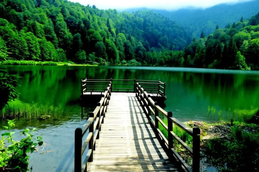 Borçka Karagöl Camping Area — Artvin — küçük resim 2