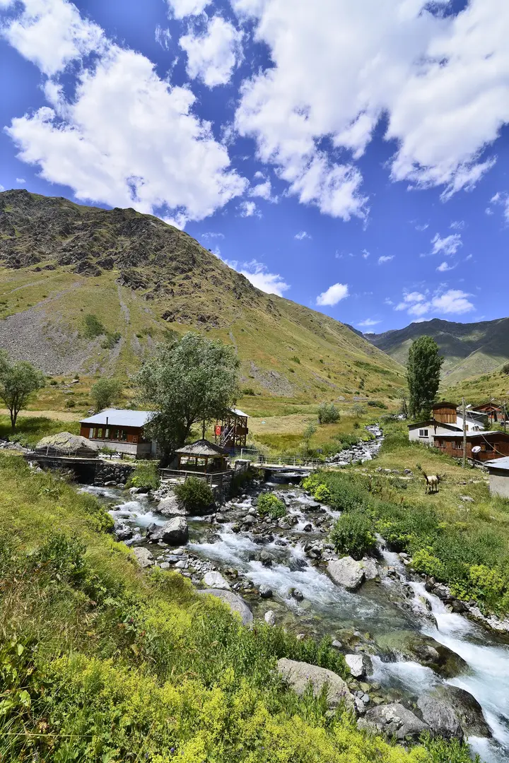 Dilber Düzü Mevki — Artvin — küçük resim 8