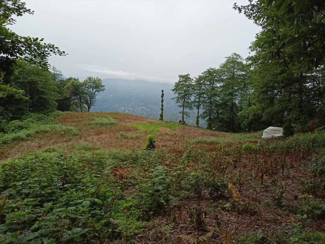 Rize, Ayane Mountain, gathering and camping area — Rize — küçük resim 3