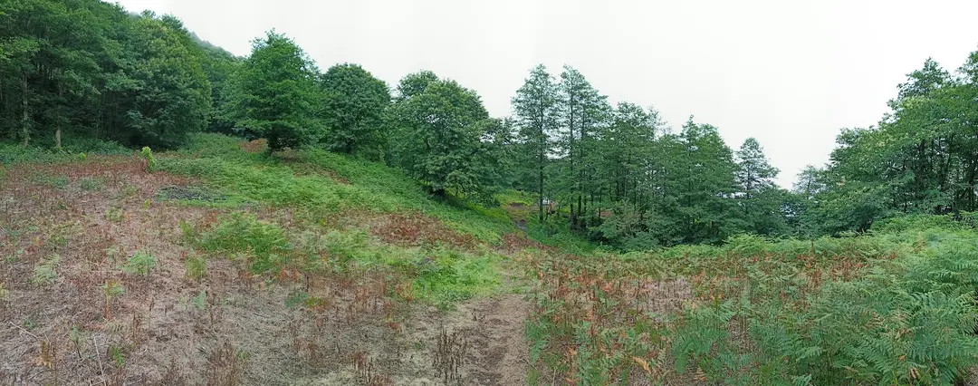 Rize, Ayane Mountain, gathering and camping area — Rize — küçük resim 2