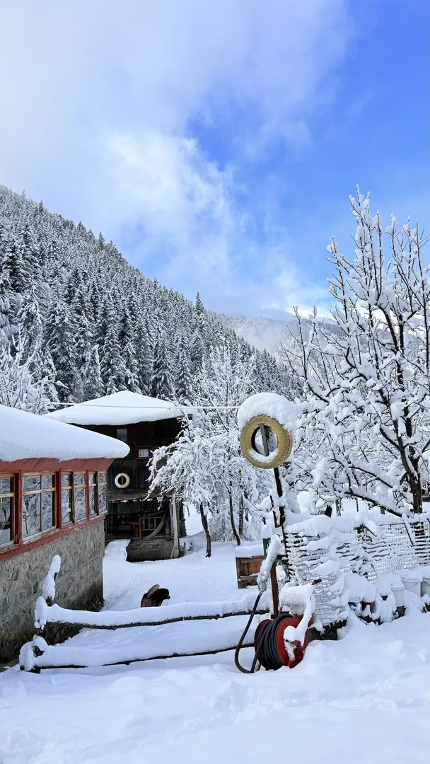 Çat Vadisi Kamp Alanı — Rize — küçük resim 8