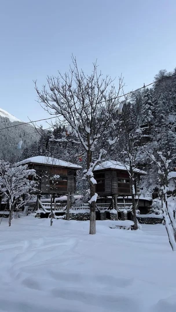 Çat Vadisi Kamp Alanı — Rize — küçük resim 2