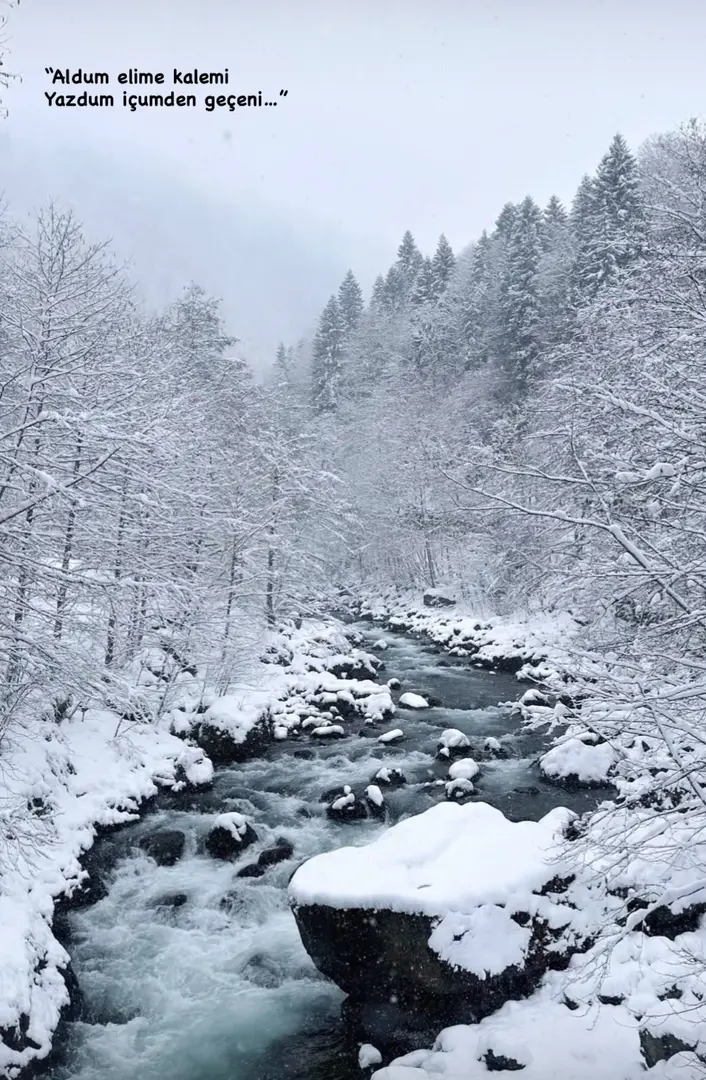 Çat Vadisi Kamp Alanı — Rize — küçük resim 9