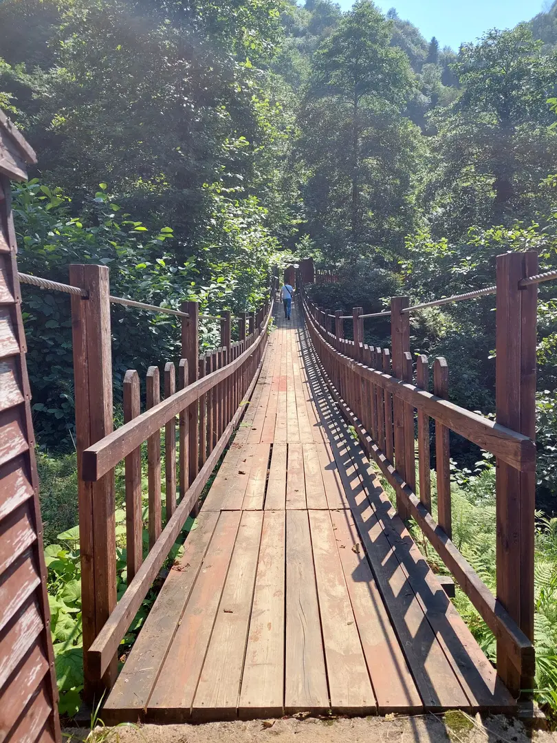 Arapdüzü Mesire Alanı — Rize — küçük resim 3