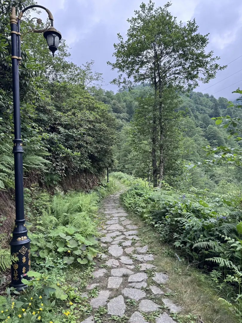 Arapdüzü Mesire Alanı — Rize — küçük resim 6