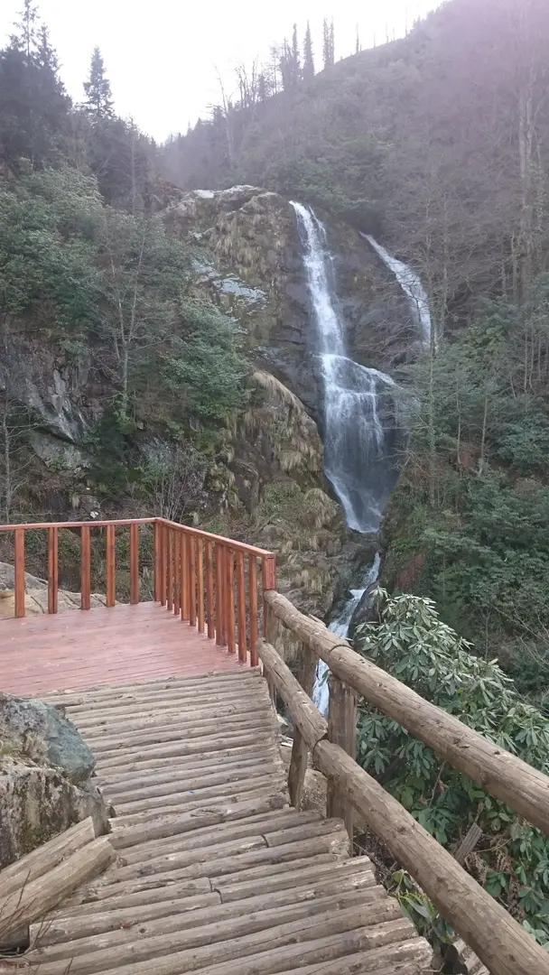 Arapdüzü Mesire Alanı — Rize — küçük resim 2