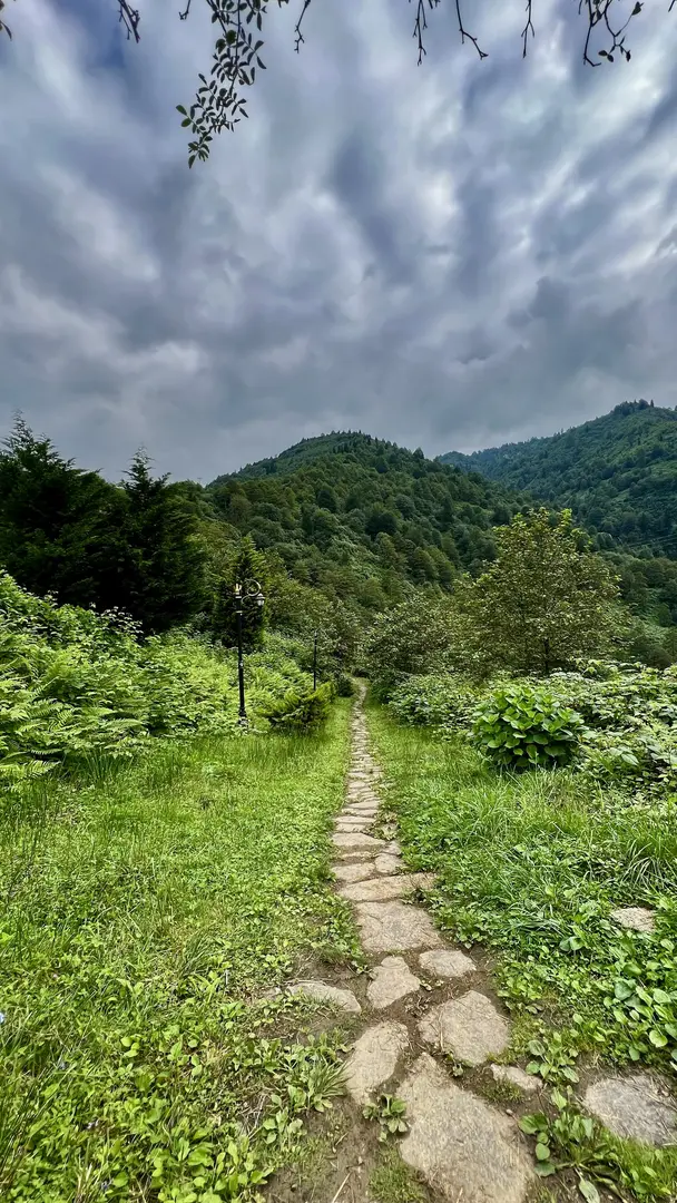 Arapdüzü Mesire Alanı — Rize — küçük resim 7