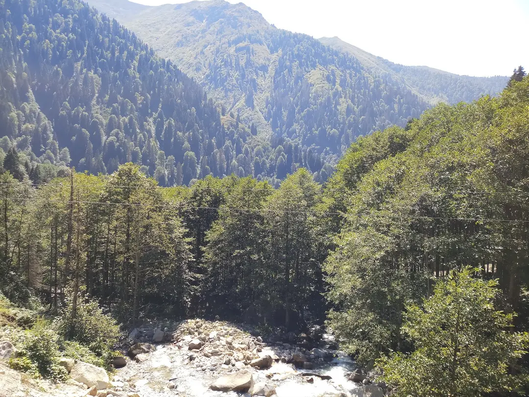 Ayder Camping — Rize — küçük resim 6
