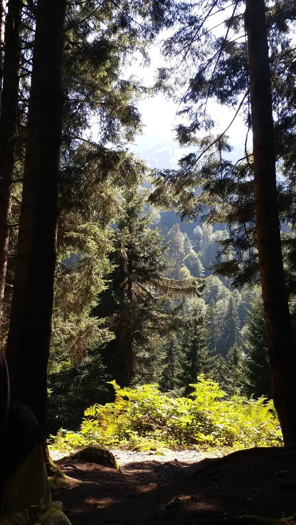 Ayder Camping — Rize — küçük resim 7