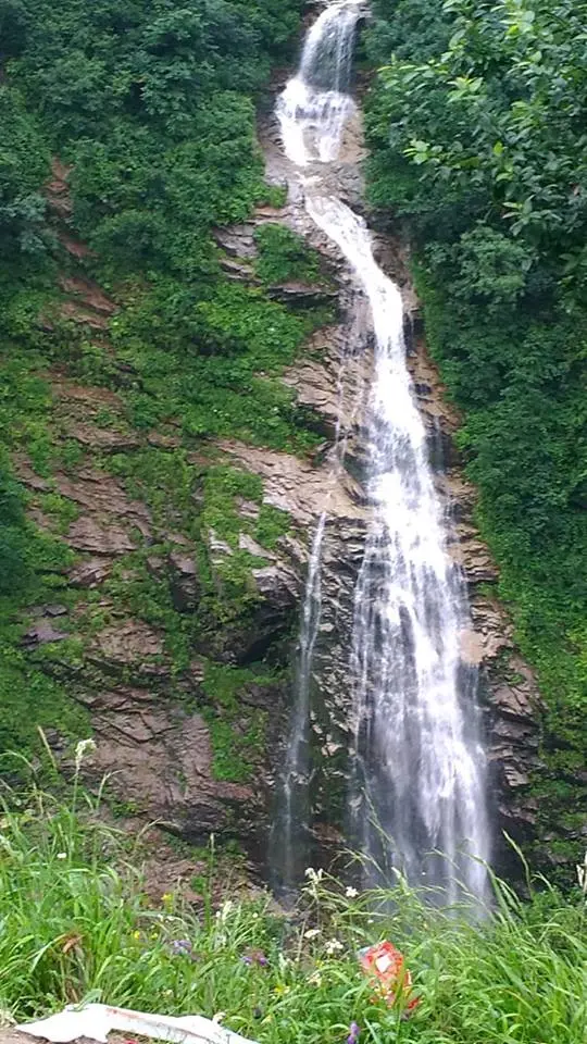 Ayder Camping — Rize — küçük resim 3