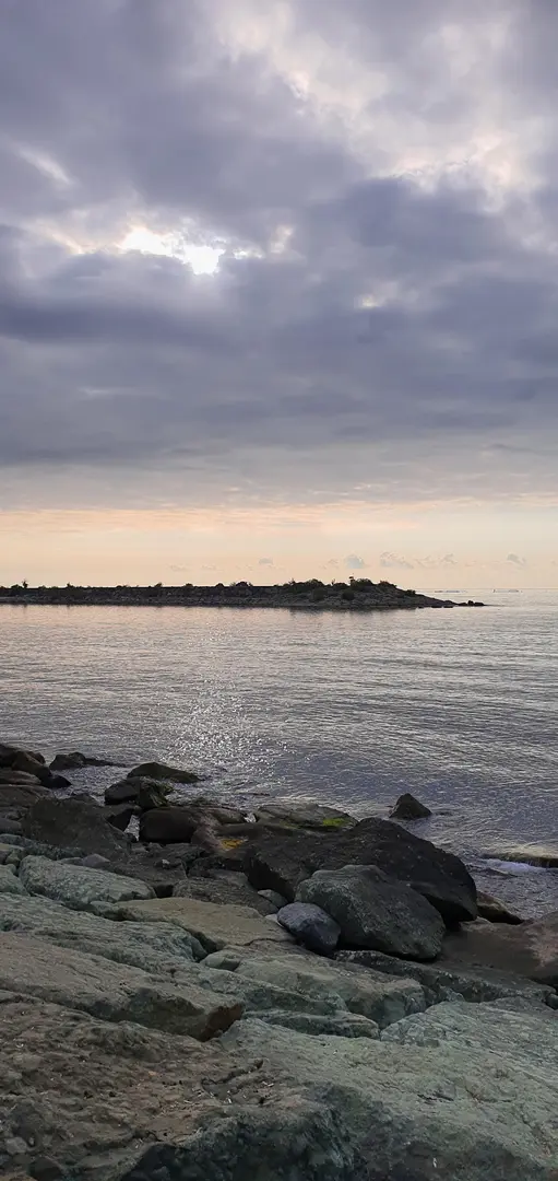 Doğu Park — Rize — küçük resim 6