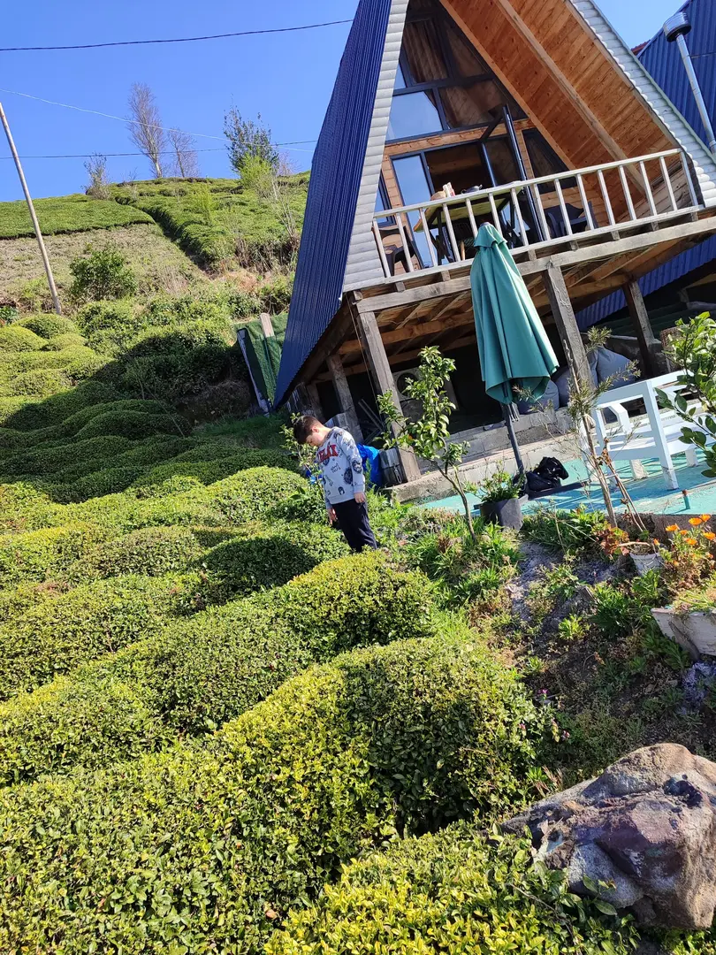 Bungolya Bungalov Hotel — Rize — küçük resim 10